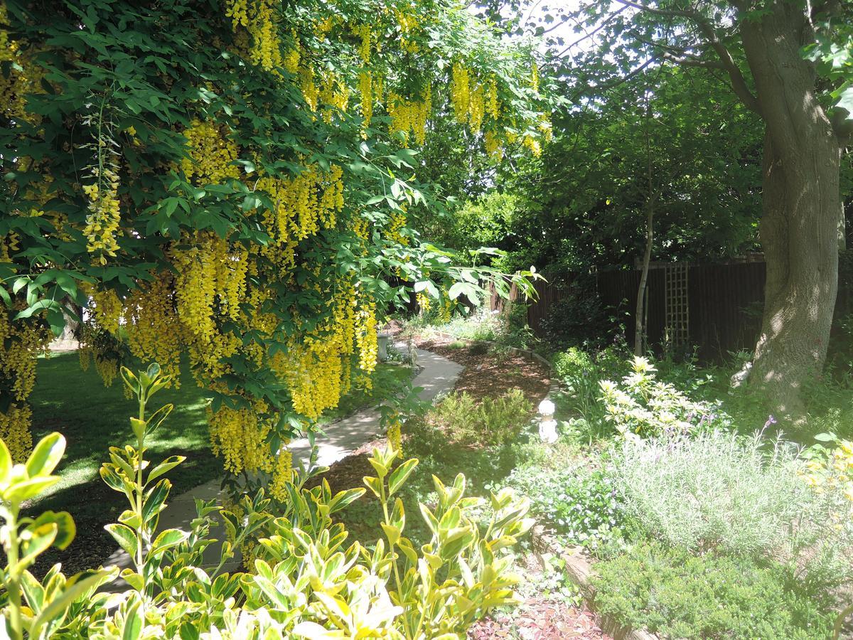 Tresillian House Bed & Breakfast Melton Mowbray Eksteriør bilde