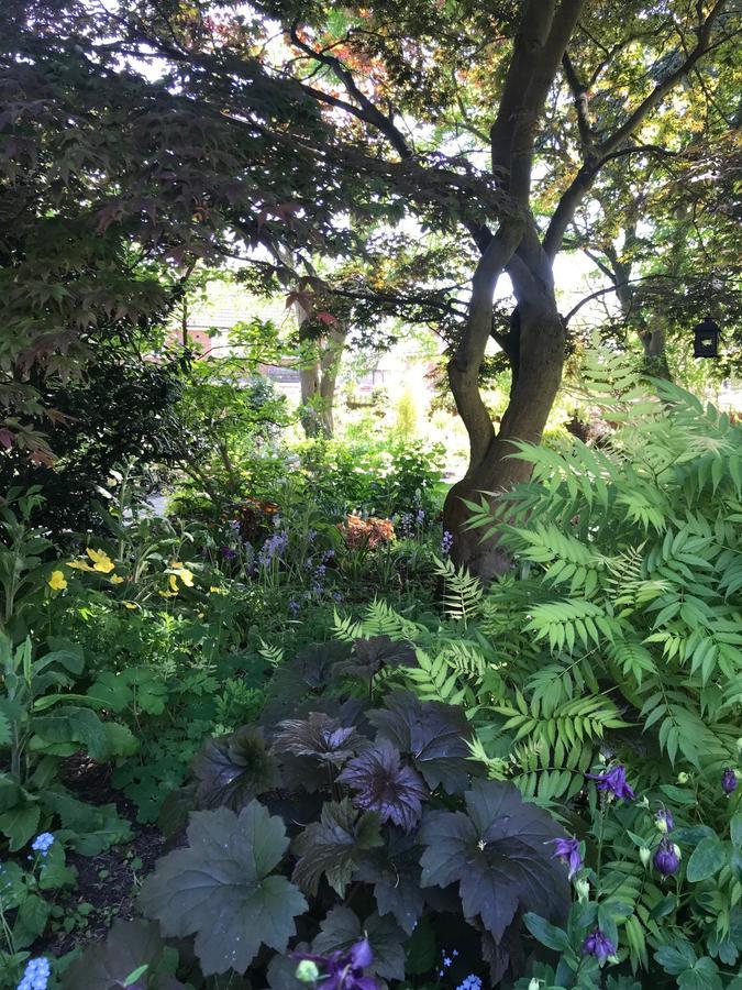 Tresillian House Bed & Breakfast Melton Mowbray Eksteriør bilde